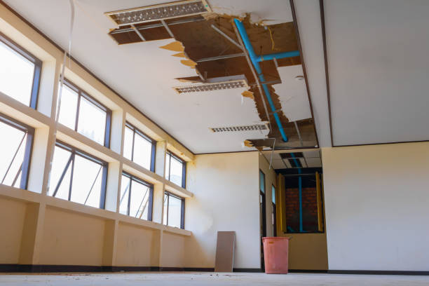 Water damage restoration mold remediation in Willcox, AZ