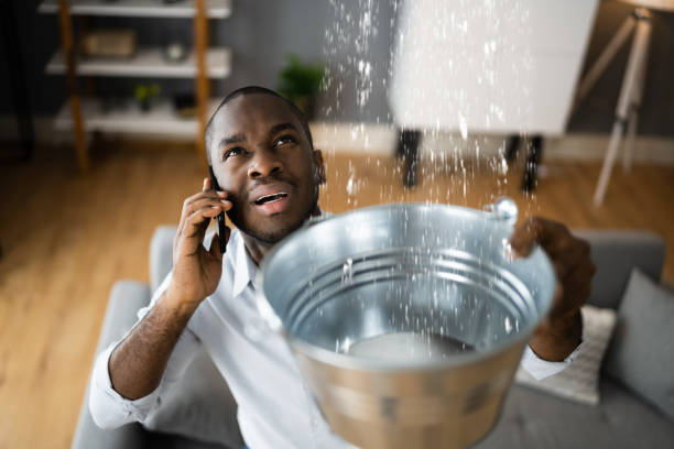 Best Water damage cleanup near me  in Willcox, AZ