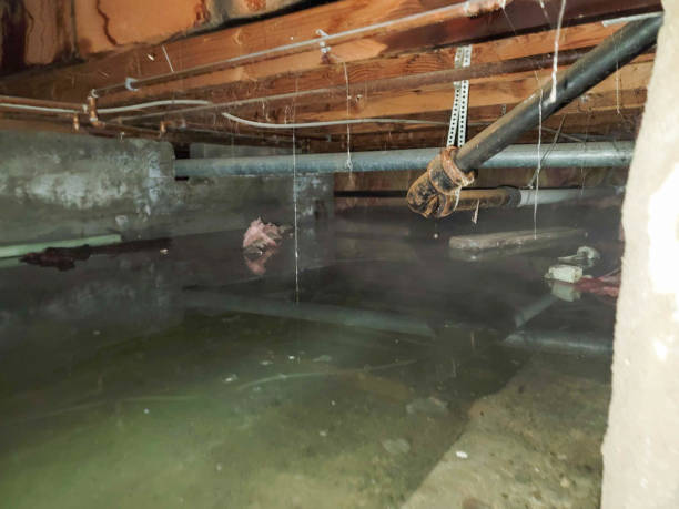 Sewage cleanup and water damage restoration in Willcox, AZ