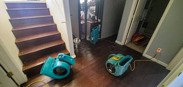 Professional Water damage restoration in Willcox, AZ