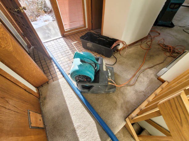 Best Residential water damage restoration  in Willcox, AZ