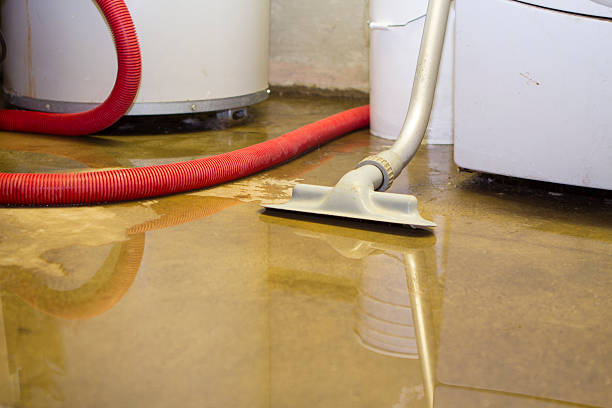Best Fire Damage Restoration  in Willcox, AZ
