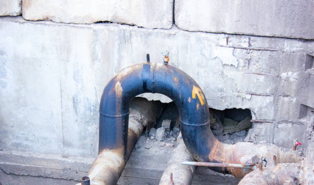 Best Flood damage cleanup  in Willcox, AZ