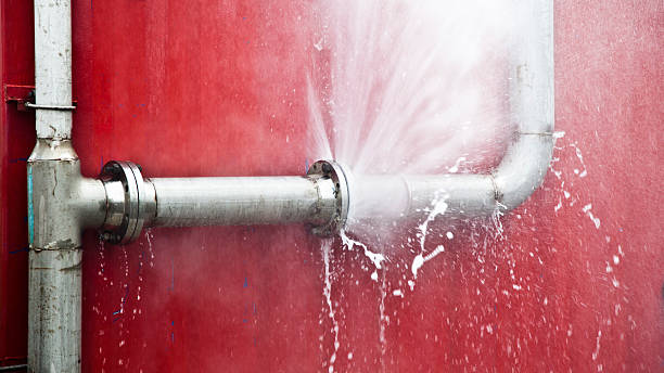 Best Water damage restoration process  in Willcox, AZ